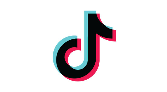 Cumbria Police TikTok